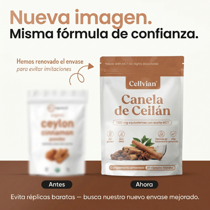 Cellvian Canela de Ceilán 7200 mg — Extracto 12:1 con Aceite MCT
