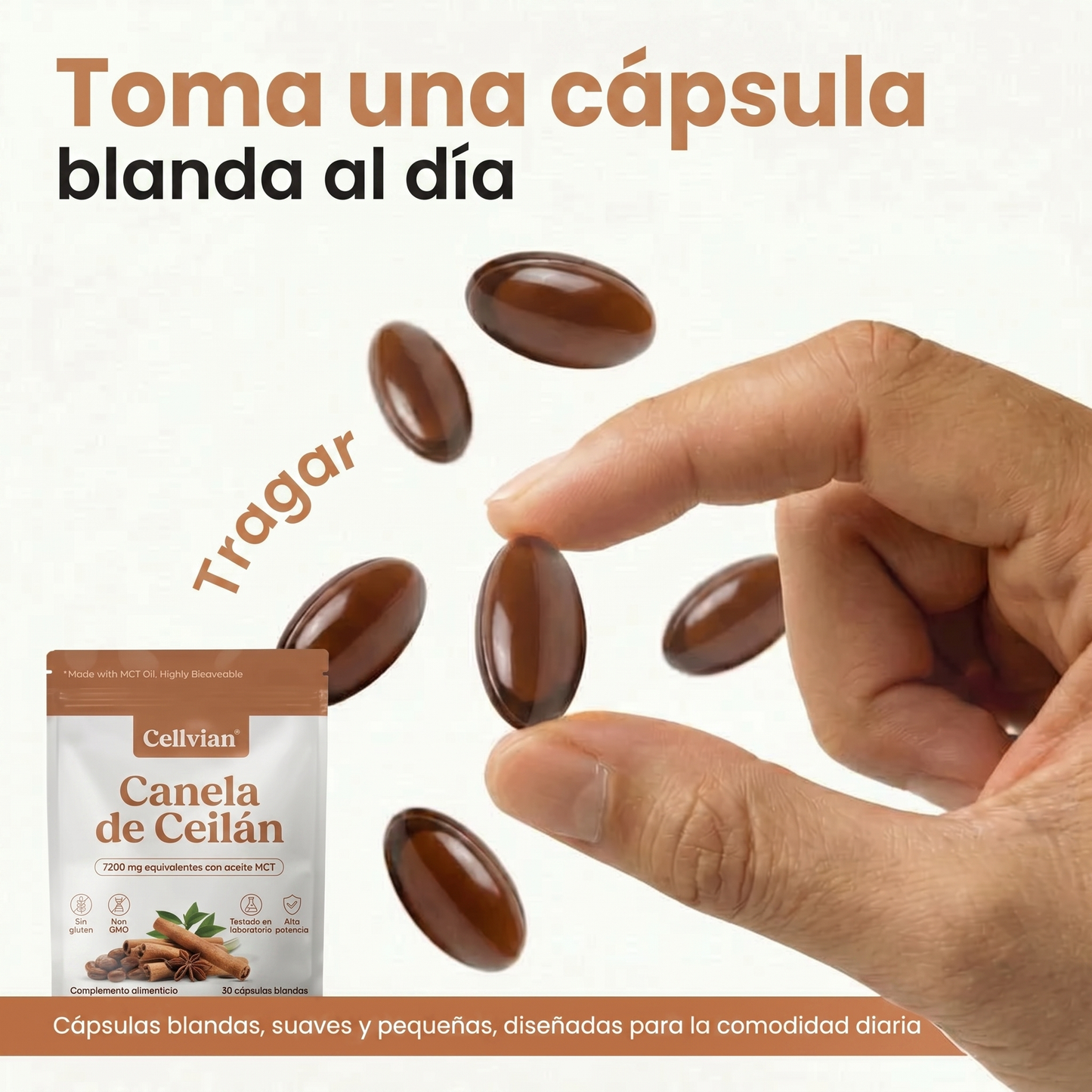 Cellvian Canela de Ceilán 7200 mg — Extracto 12:1 con Aceite MCT