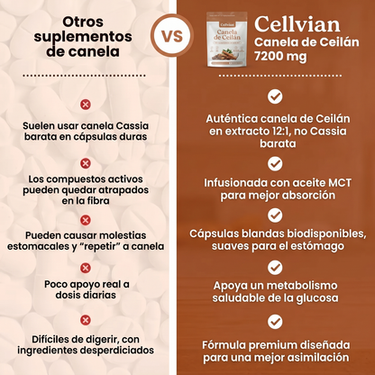 Cellvian Canela de Ceilán 7200 mg — Extracto 12:1 con Aceite MCT