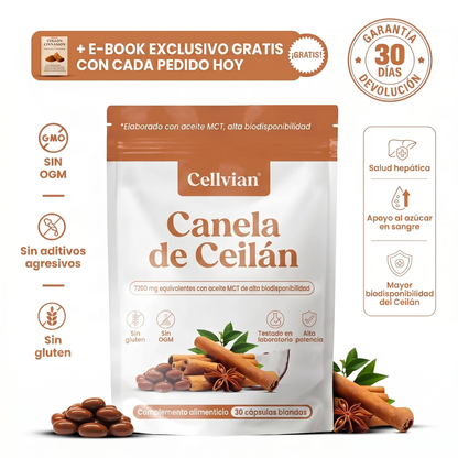 Cellvian Canela de Ceilán 7200 mg — Extracto 12:1 con Aceite MCT